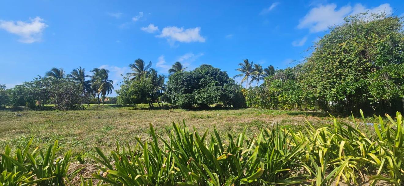 Terreno en IBERSTATE BAVARO, Autovía del Este-3