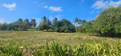 Terreno en IBERSTATE BAVARO, Autovía del Este-2